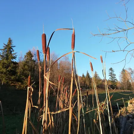 Kolmanovci بيت للعطل