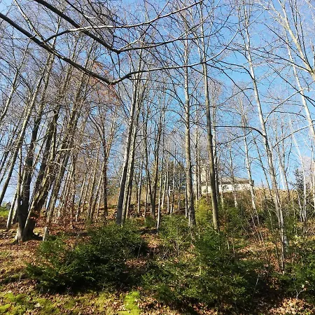 Kolmanovci Dom wakacyjny *