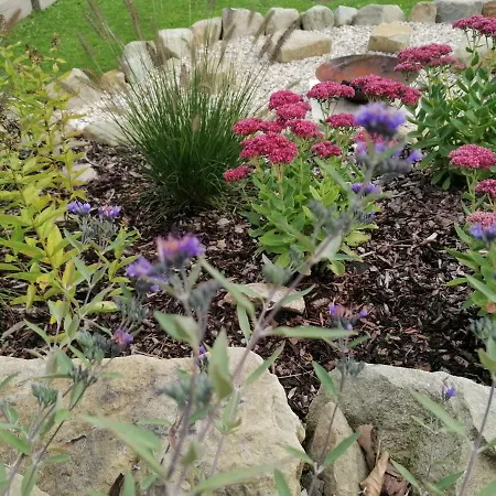 Dom wakacyjny Kolmanovci *