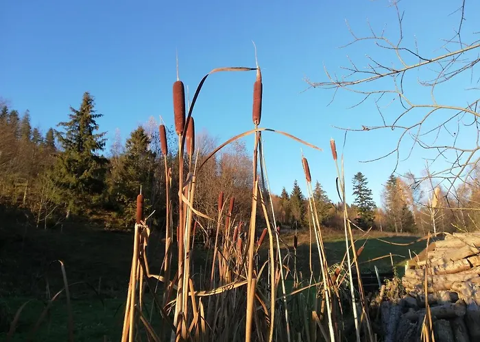 Kolmanovci Дом отдыха