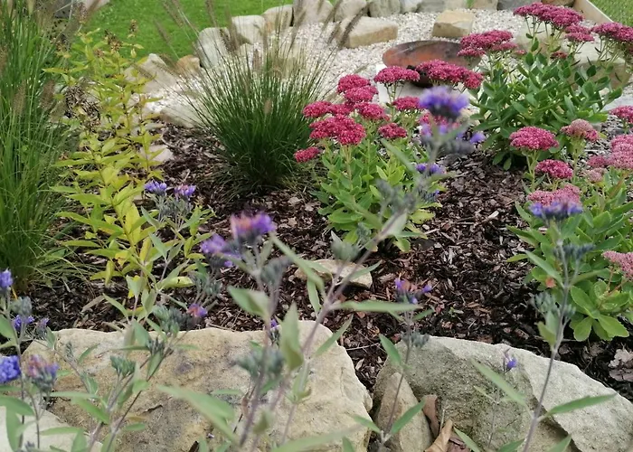 Nyaraló Kolmanovci *